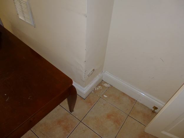 surface damage as a result of rising damp